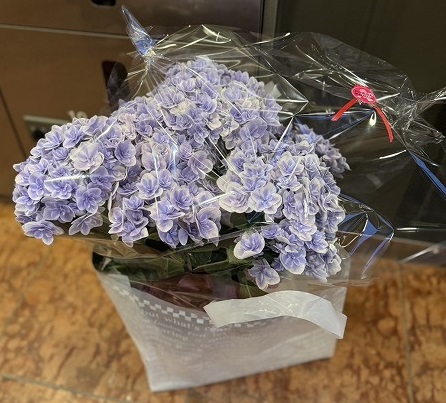 母の日💐